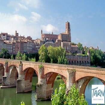 Vue sur la cité épiscopale d’Albi dans le Tarn